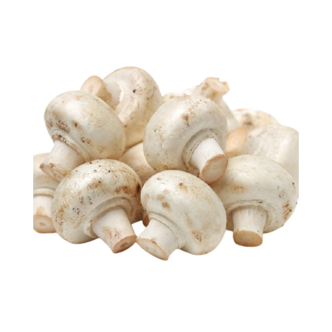 Swiss White Mushroom