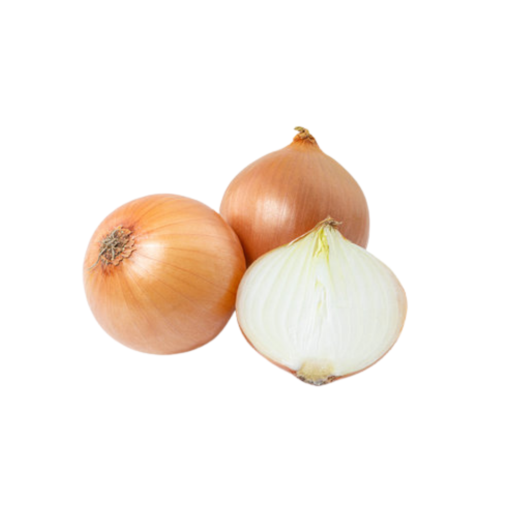 Holland White Onion