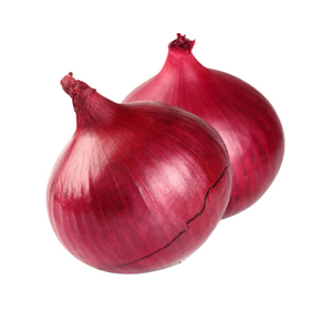 Holland Purple Onion
